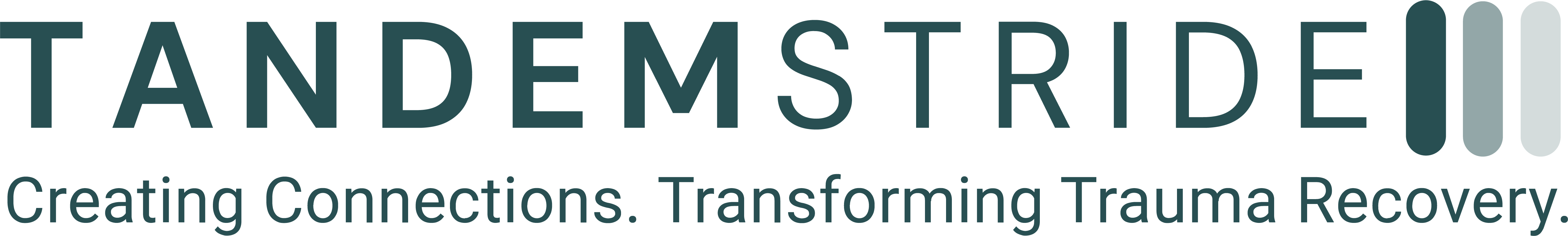 Tandemstride company logo