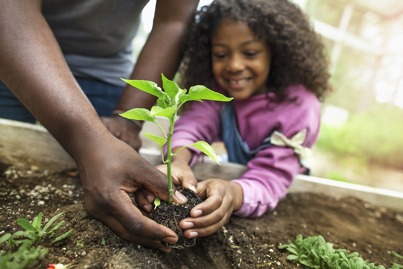 girl planting plant with adult