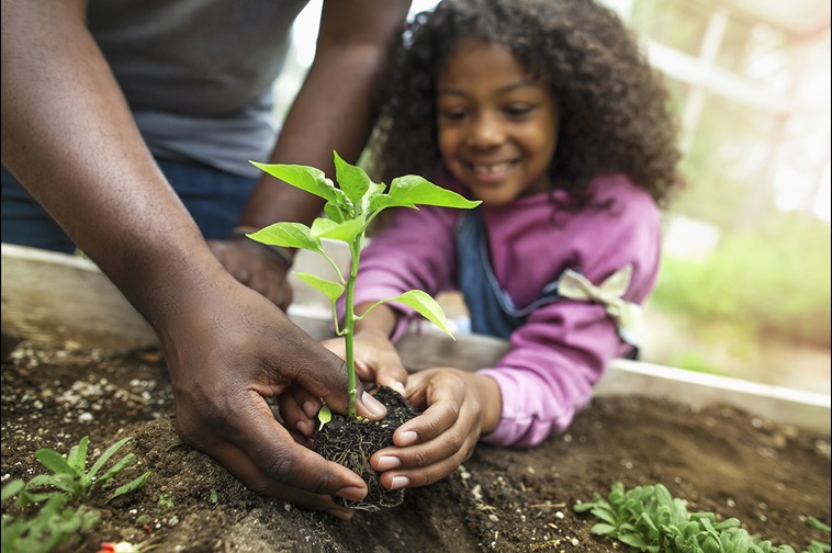 girl planting plant with adult